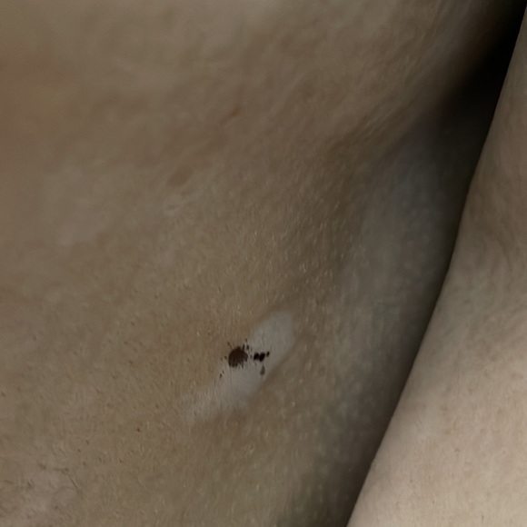 HCL Germany Vintage Bowler Frame Shoulder Bag Cognac color brown/tan - Picture 13 of 16